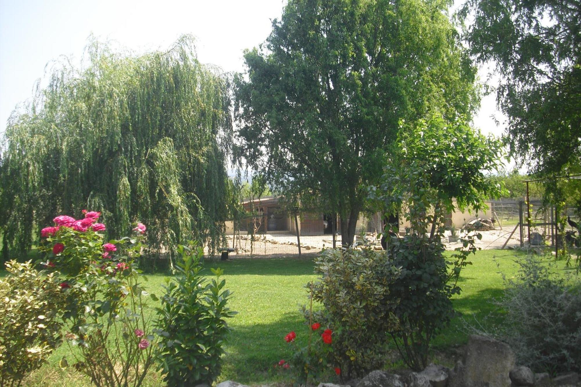 Apartamento Lou Mas Li Pitchoun "L'Olivade" Gordes Exterior foto